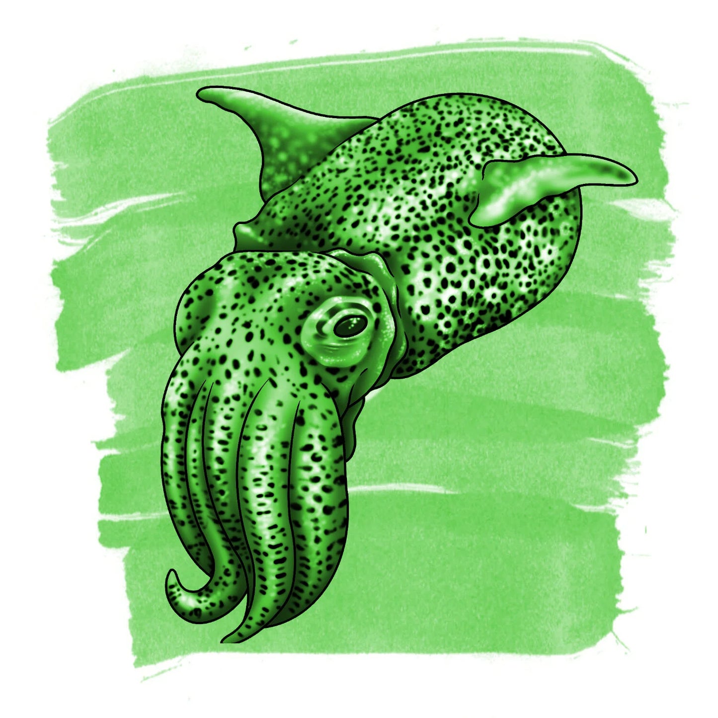 Anderillium - Bobtail Squid Green