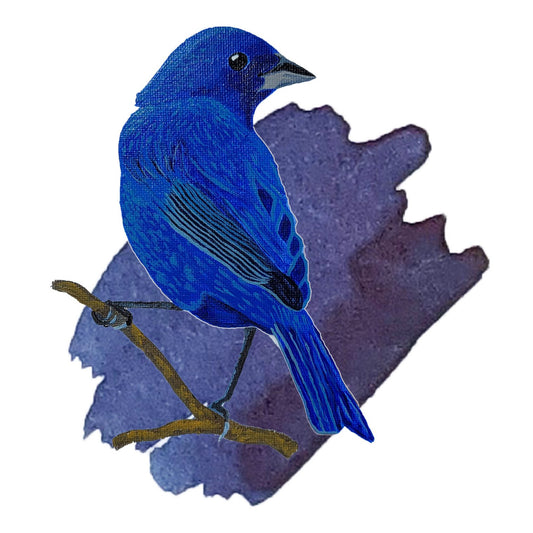 Indigo Bunting Blue