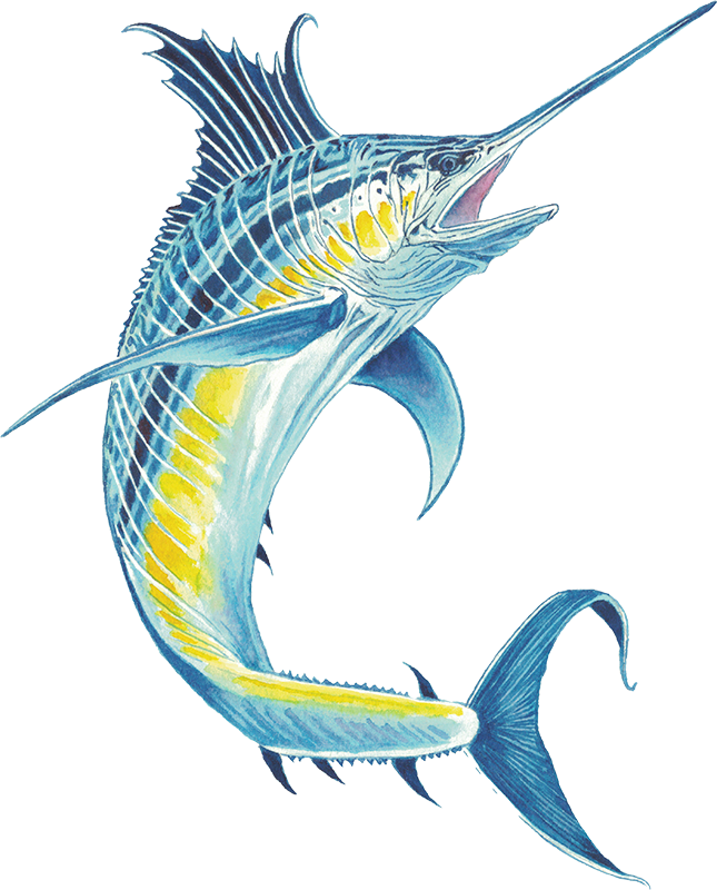 Anderillium - Swordfish Blue