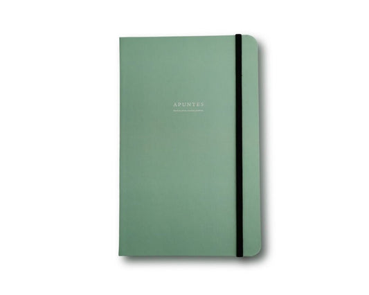 Paleta 6.0 | Menta