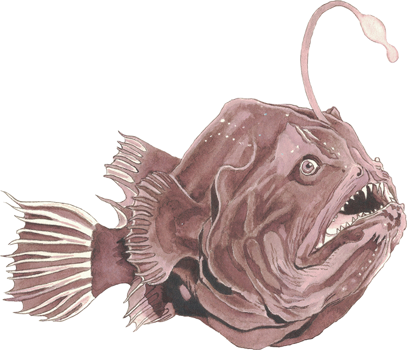 Anderillium - Anglerfish Deep