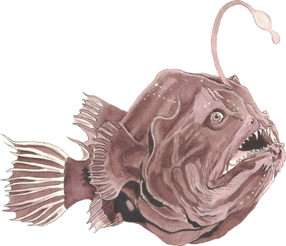 Anderillium - Anglerfish Deep