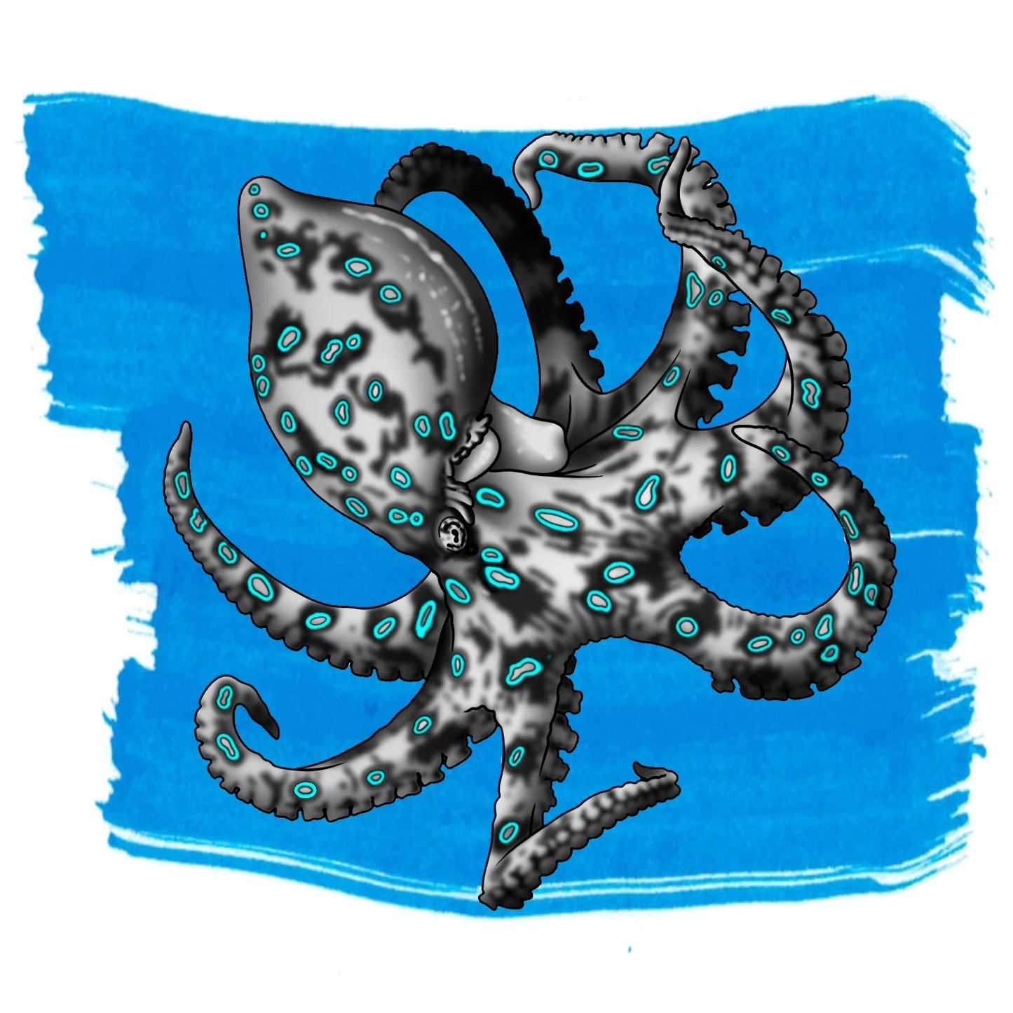 Anderillium - Blue-Ringed Octopus Blue