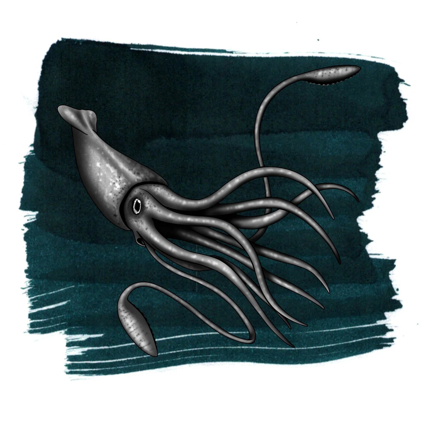Anderillium - Colossal Squid Dark