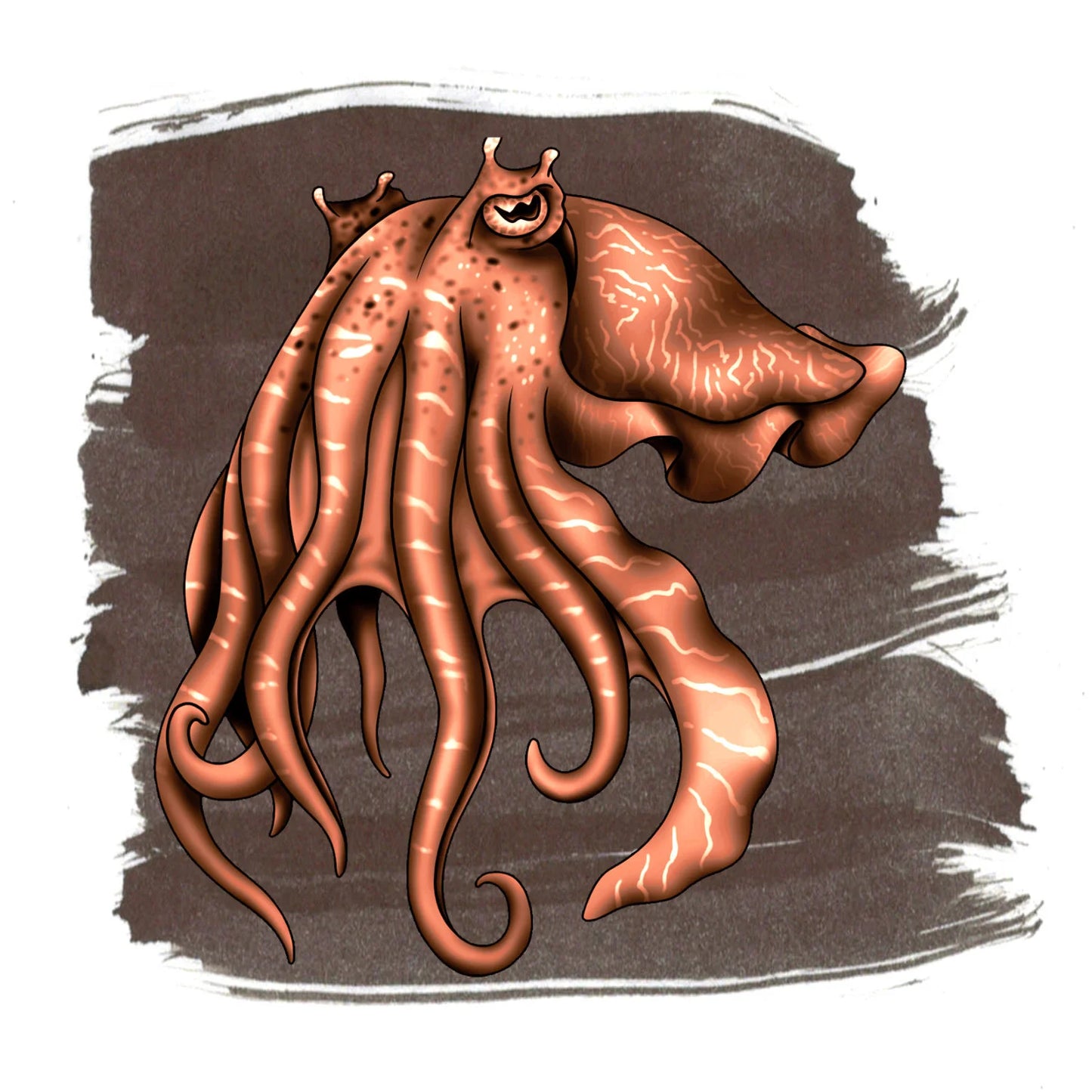 Anderillium - Cuttlefish Brown