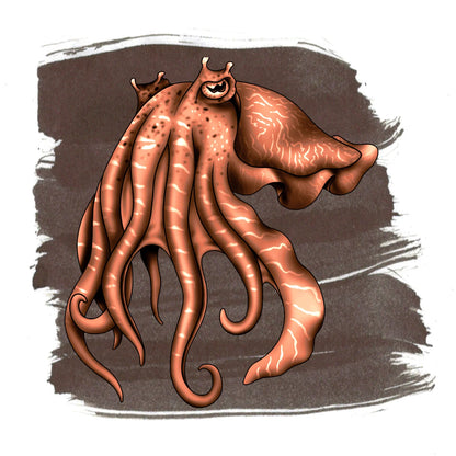 Anderillium - Cuttlefish Brown