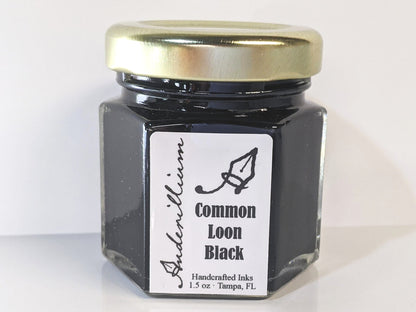 Common Loon Black