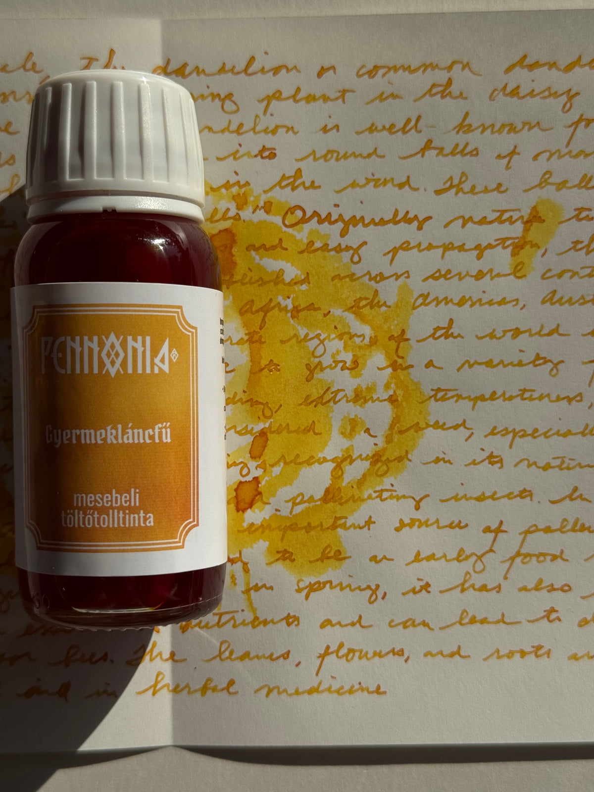 Pennonia - Gyermekláncfű