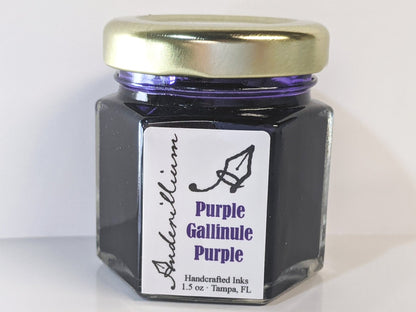 Purple Gallinule Purple