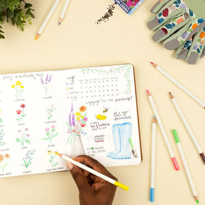 Irojiten Colored Pencil Set, Vivid